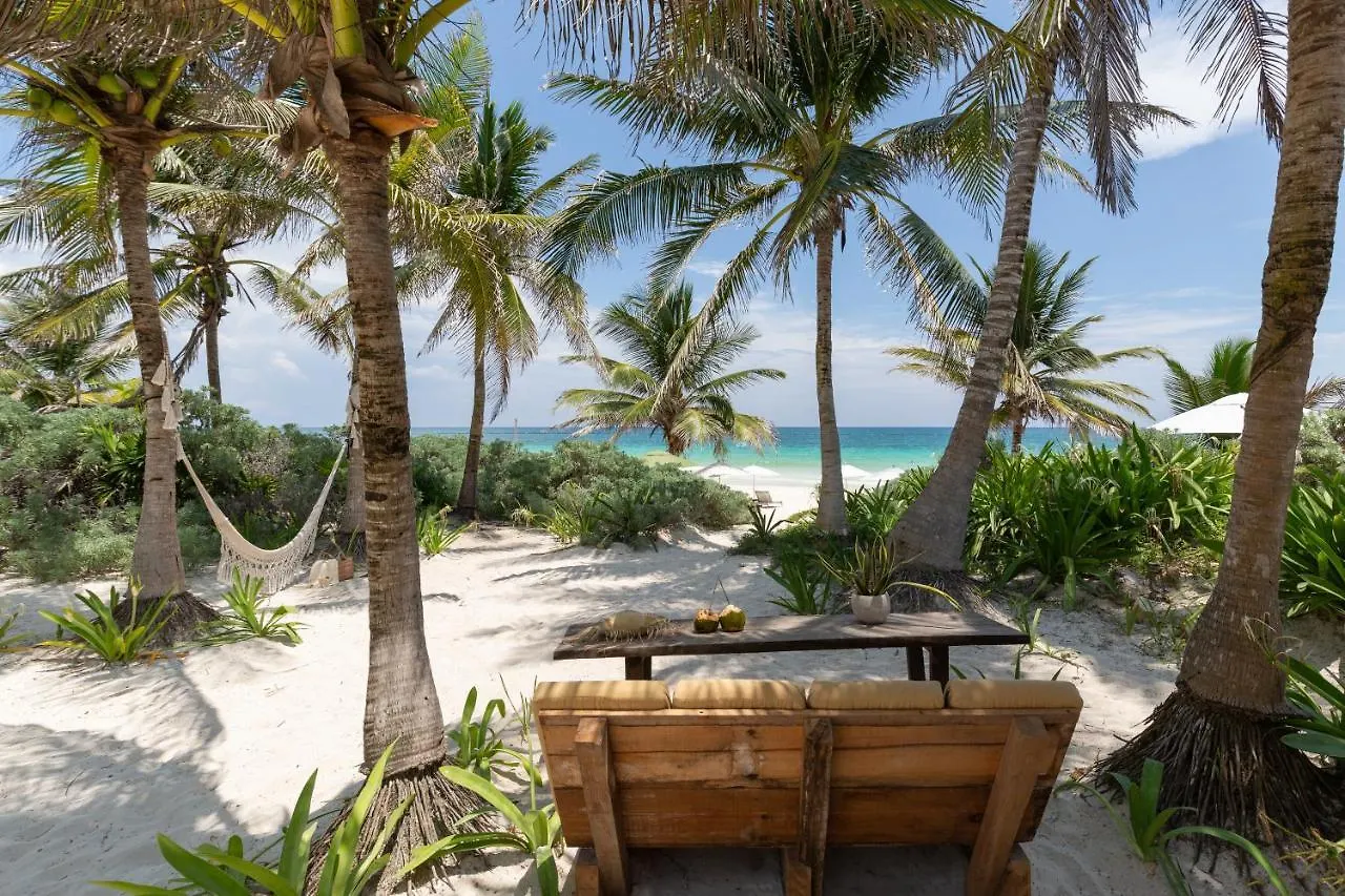 Cinco Tulum Hotel Luxury tent