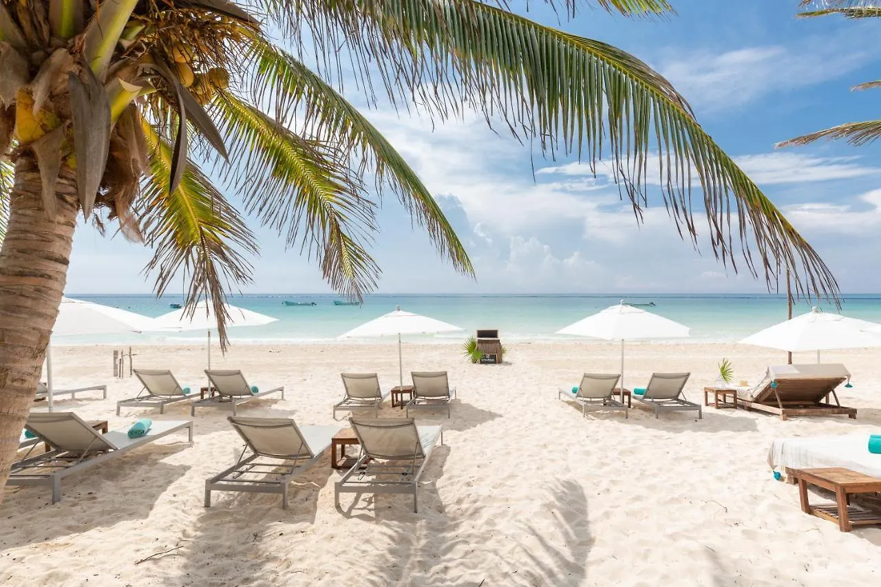 Campo de lujo Cinco Tulum Hotel México