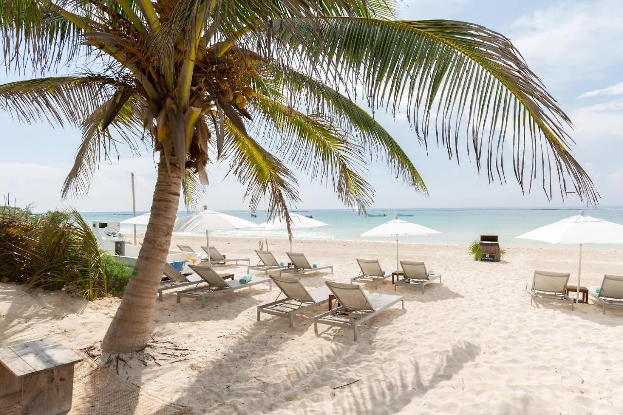 Luxury tent Cinco Tulum Hotel